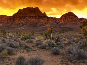 Red Rock Canyon National Conservation Area