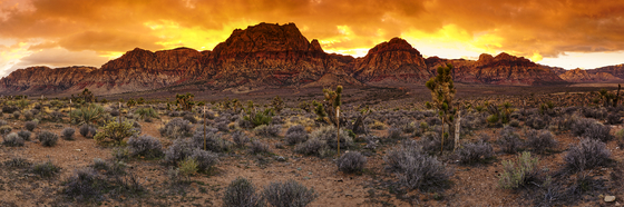 Red Rock Canyon National Conservation Area