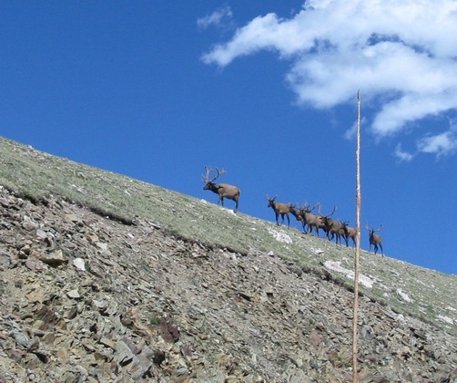 Rocky Mountain National Park