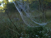 Web Sails in the Sunrise