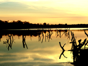 Chickasaw National Recreation Area