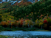White Mountain National Forest, NH