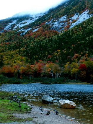 White Mountain National Forest, NH