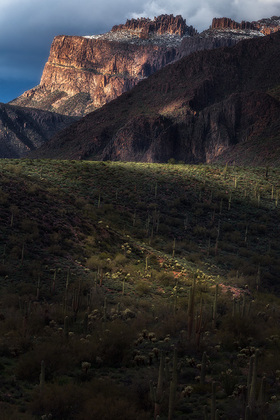 Tonto National Forest