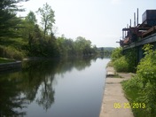 Morning Glory on the Trent canal