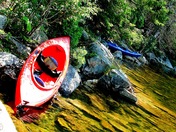 Acadia National Park