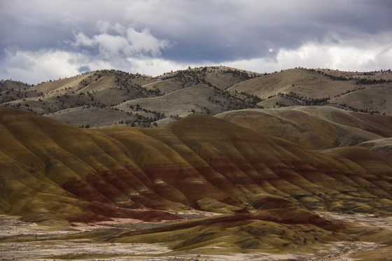 John Day Fossil Beds National Monument