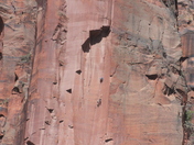 Zion National Park