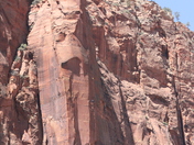 Zion National Park
