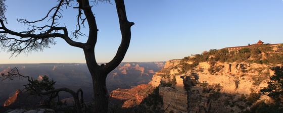 Grand canyon