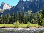 Yosemite National Park