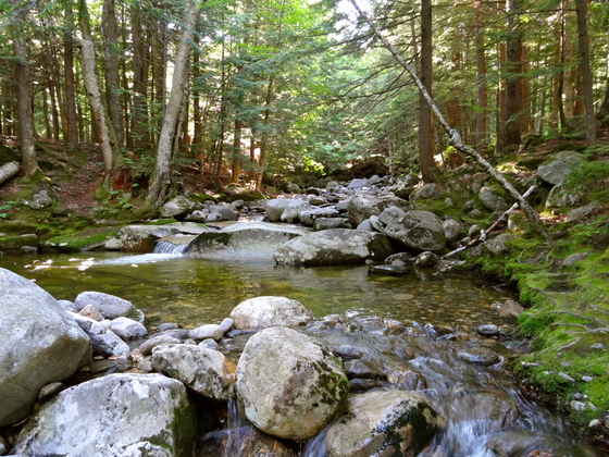 White Mountain National Forest