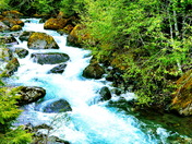 Gifford-Pinchot National Forest 