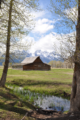 Grand Teton