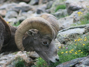 Rocky Mountain National Park