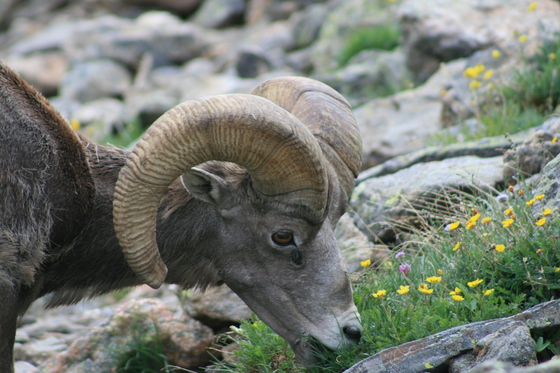 Rocky Mountain National Park