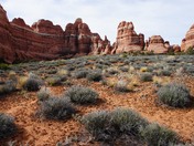 Canyonlands National Park