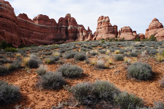Canyonlands National Park