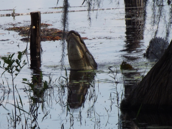 Banks Lake NWR