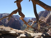 Zion