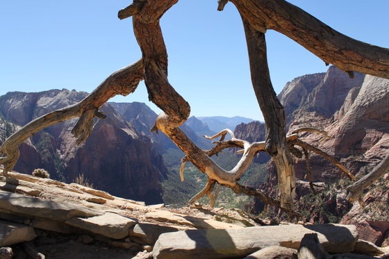 Zion