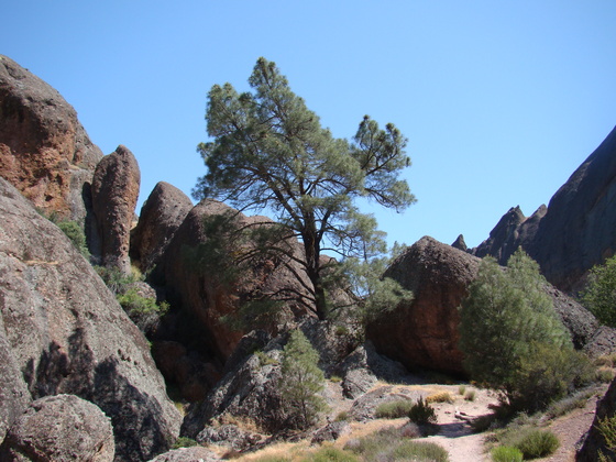 Pinnacles National Monument
