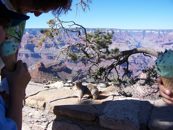 Grand Canyon