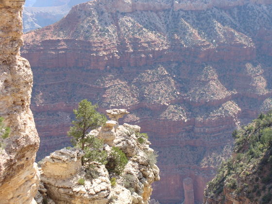 Grand Canyon