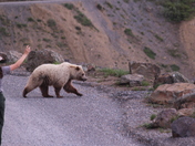 Denali National Park, Eielson Visitor Center