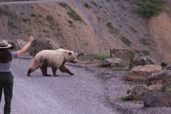 Denali National Park, Eielson Visitor Center