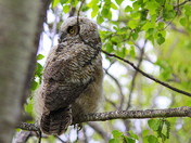 Time to Leave the Nest