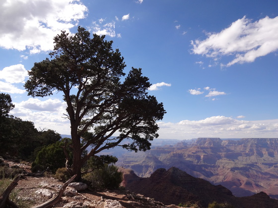 Grand Canyon National Park