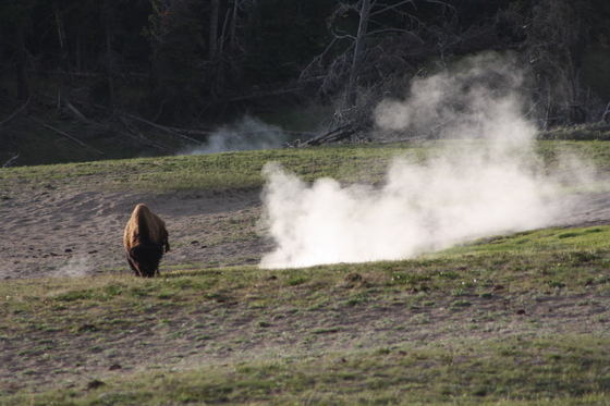 Yellowstone National Park