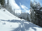 Mt Rainier National Park
