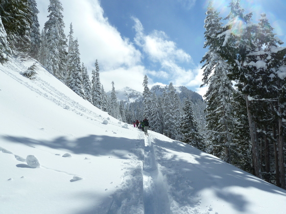 Mt Rainier National Park