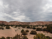 Petrified Forest National Park