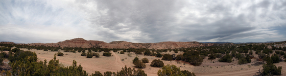 Petrified Forest National Park