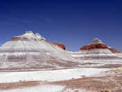 Petrified Forest National Park