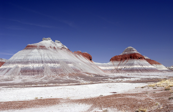 Petrified Forest National Park