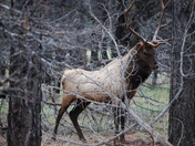 Grand Canyon Nationa Park