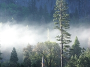 Yosemite National Park