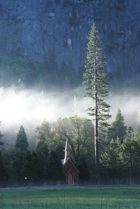 Yosemite National Park