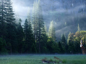 Yosemite National Park