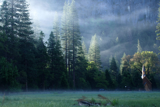 Yosemite National Park