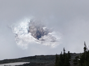 Mt. Rainier National Park