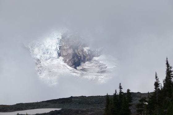 Mt. Rainier National Park