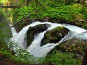 Olympic National Park