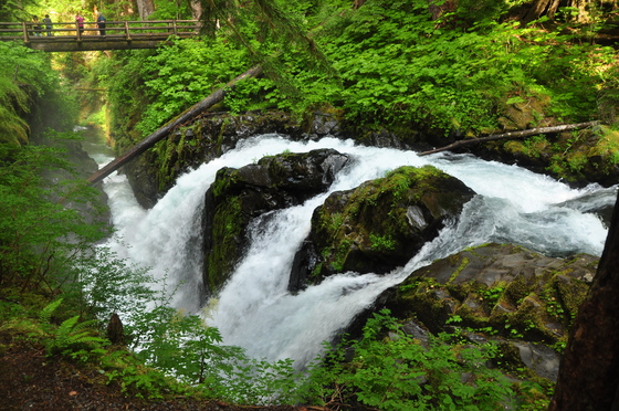 Olympic National Park