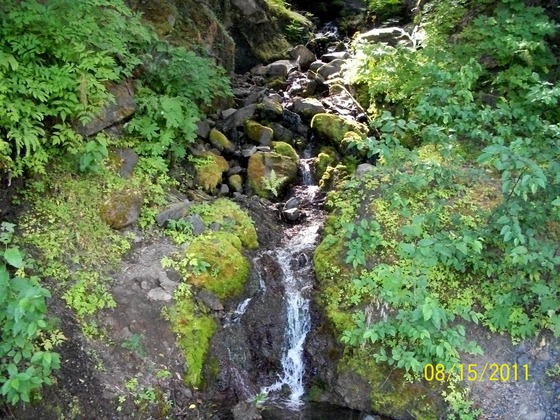 Olympic National Park