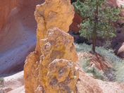 Bryce Canyon National Park